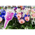 Florovit - aplikator 30 ml nawóz odżywka do storczyków