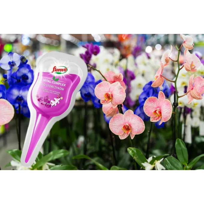 Florovit - aplikator 30 ml nawóz odżywka do storczyków
