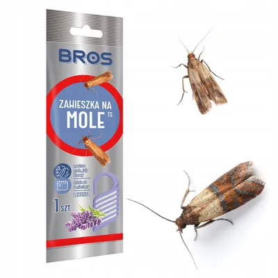 Bros - zawieszka na mole lawenda