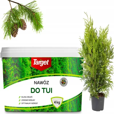 Target - nawóz do tui żywotników iglaków 4 kg 