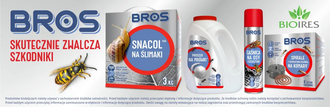 Bros