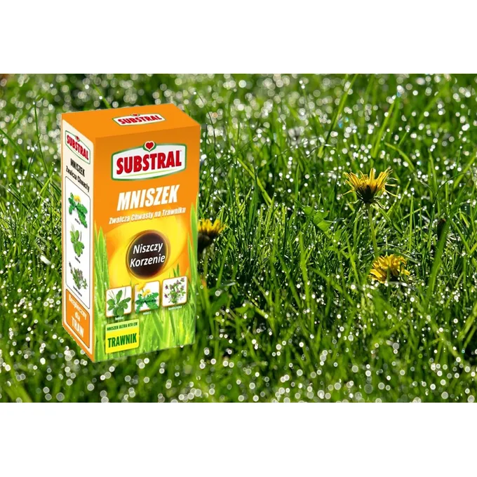 Substral - Mniszek zwalcza chwasty na trawniku, niszczy korzenie 250ml