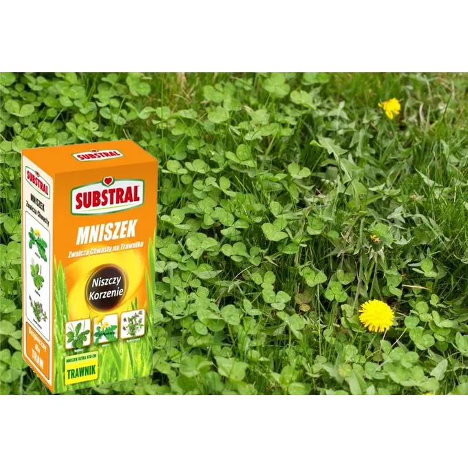 Substral - Mniszek zwalcza chwasty na trawniku, niszczy korzenie 250ml