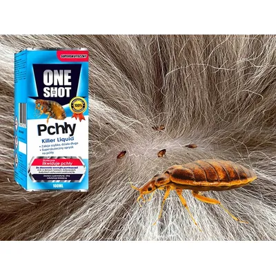 One Shot - środek na pchły, koncentrat 100ml