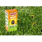 Substral - Mniszek zwalcza chwasty na trawniku, niszczy korzenie 250ml