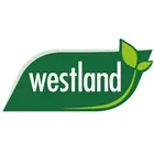 Westland - nawóz w płynie do pomidorów - 1L