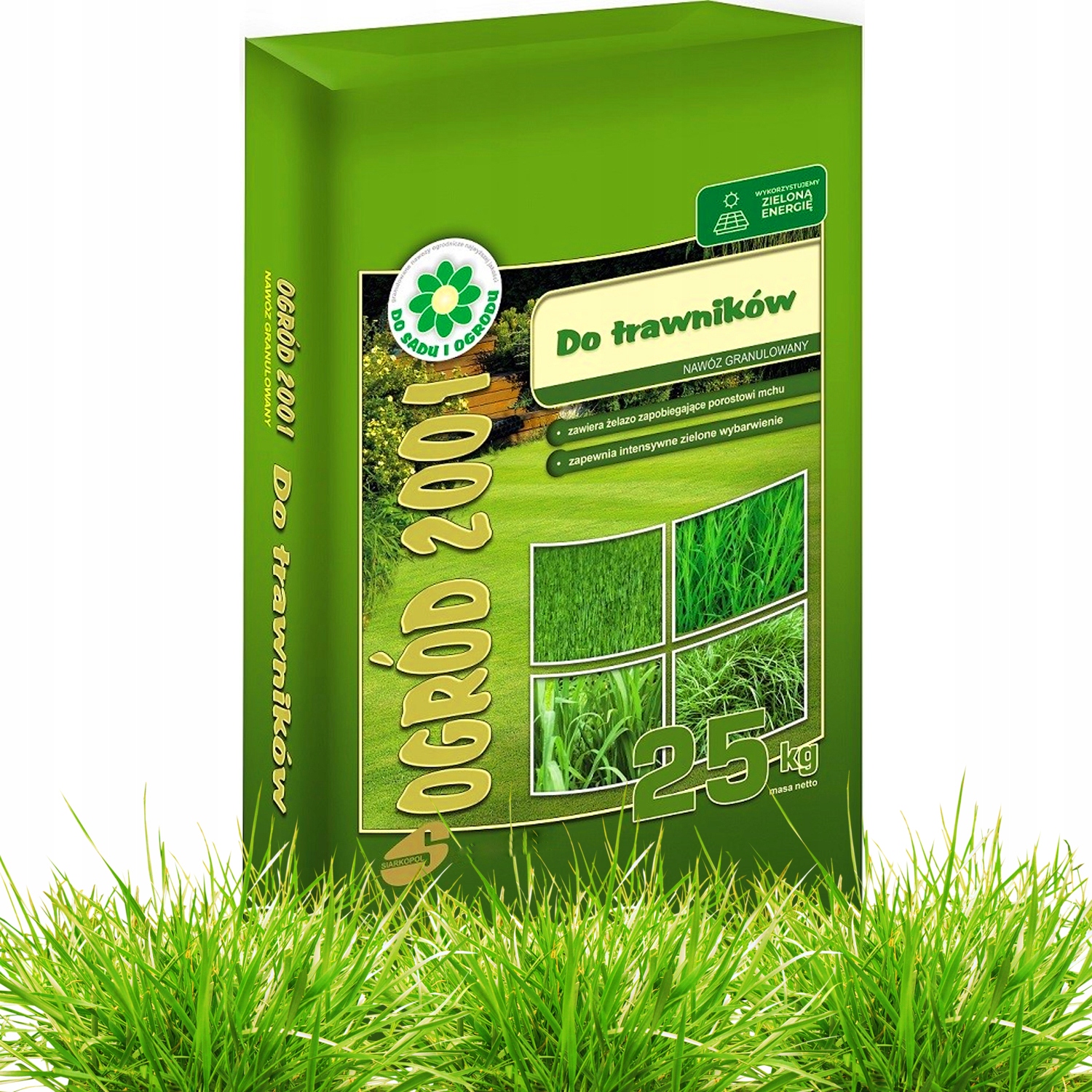 düngen thuja Thuja Dünger flüssig 500ml Konzentrat main image 1