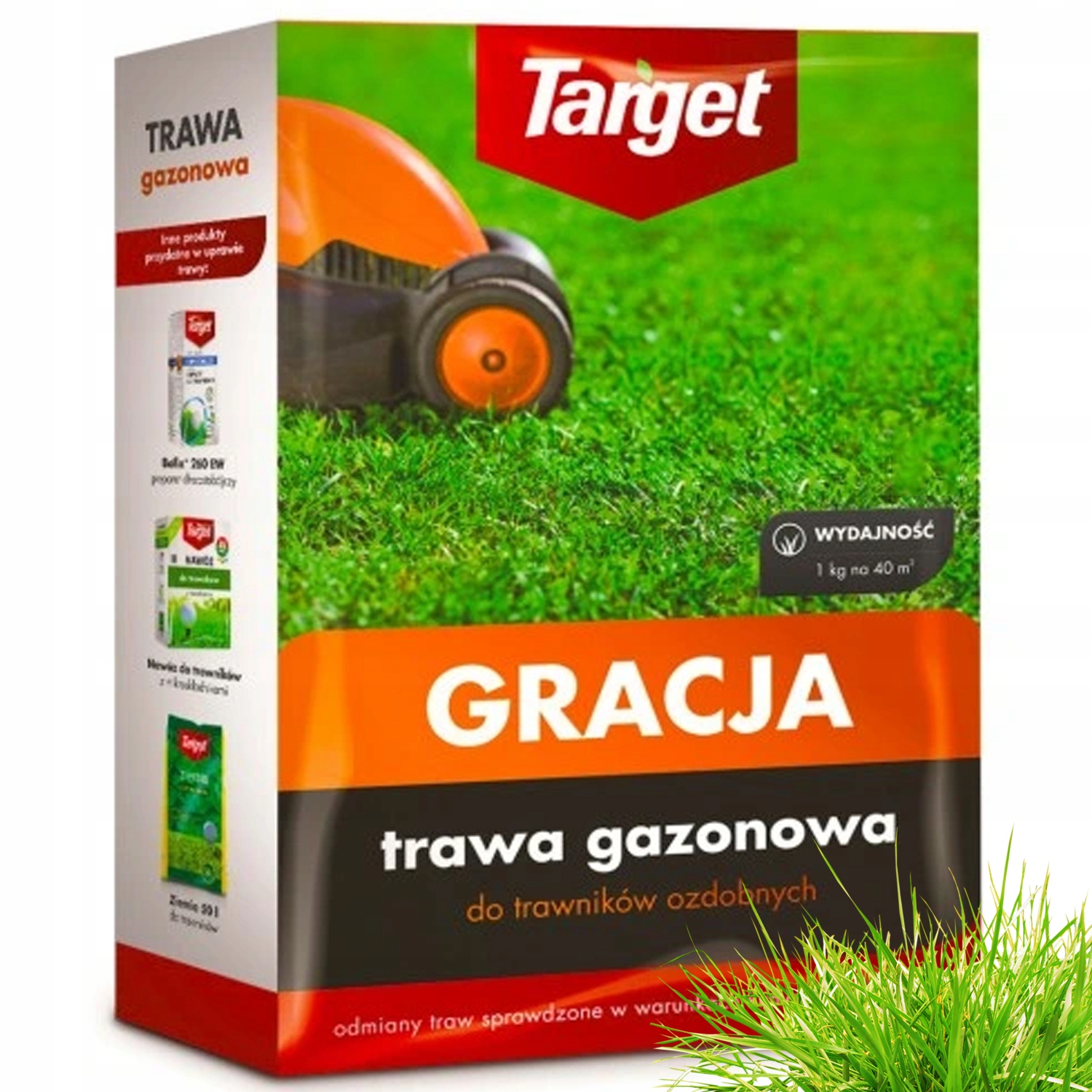 Target - nasiona trawy samozagęszczającej gracja 1kg - Bioires.pl