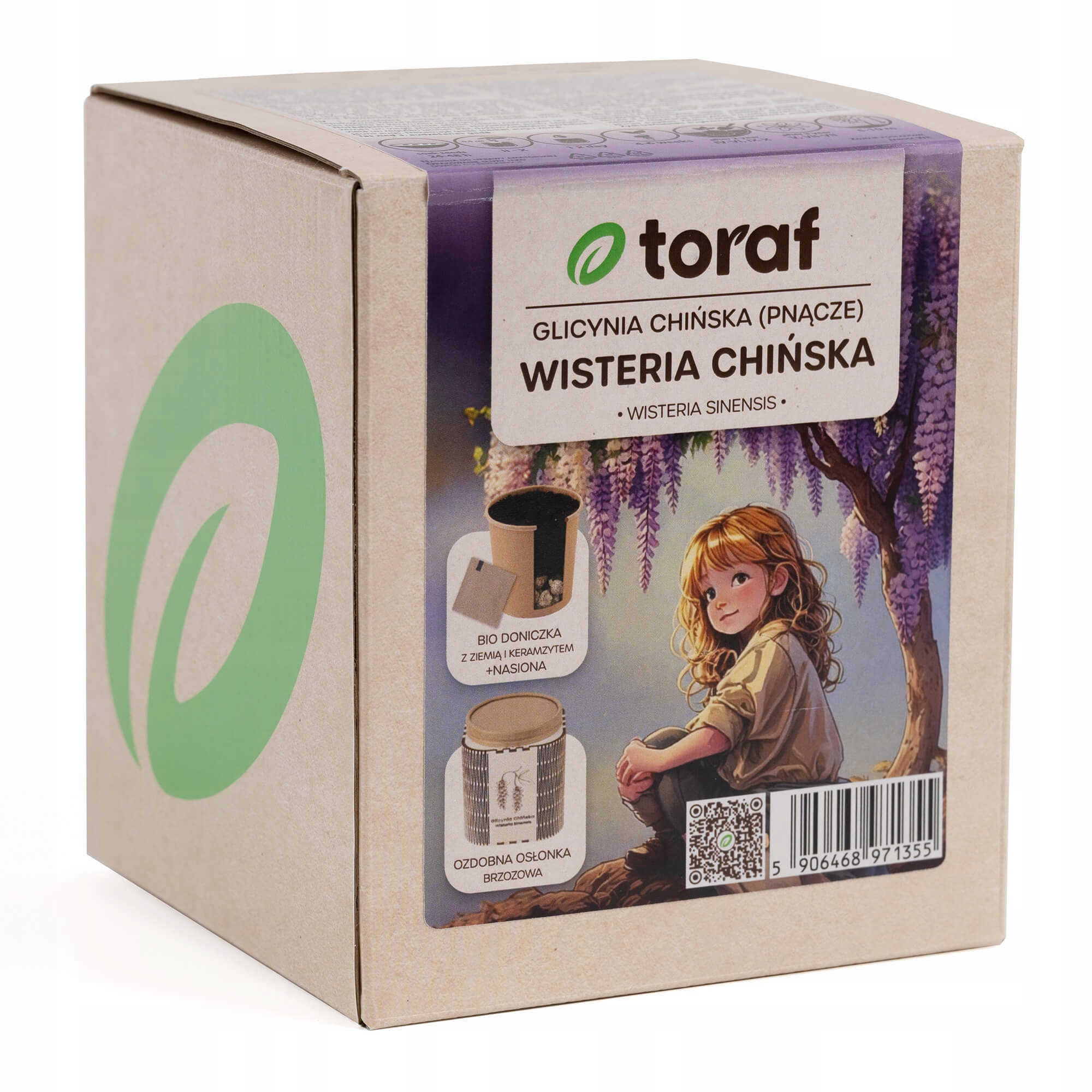 Toraf - Zestaw do uprawy Wisteria Chiska - 1szt - Bioires.pl - Wszystko do  domu i ogrodu